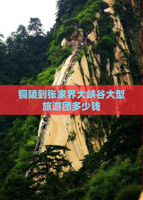 铜陵到张家界大峡谷大型旅游团