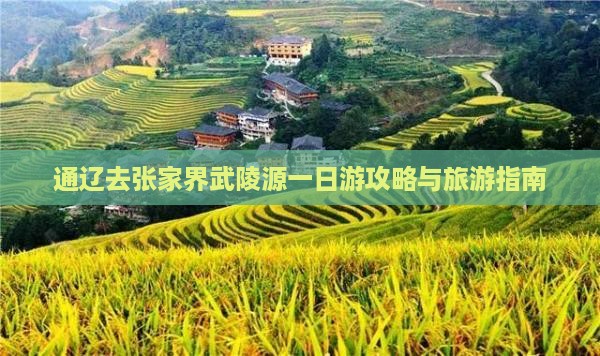 通辽去张家界武陵源一日