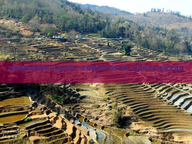 随州去张家界森林公园必去地