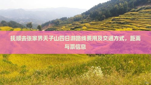 抚顺去张家界天子山四日游