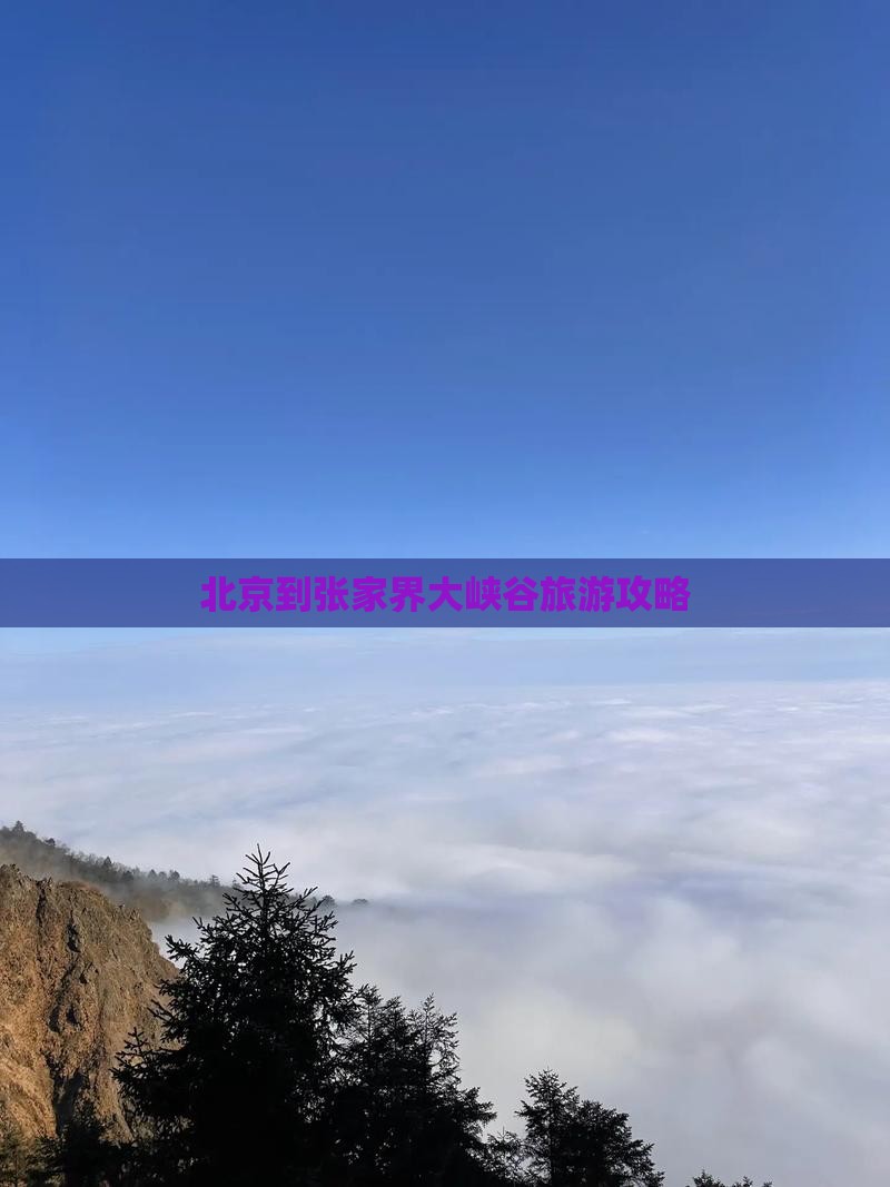 北京到张家界大峡谷大型旅游团