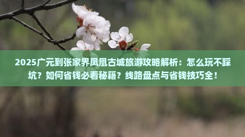 广元到张家界凤凰古城旅游