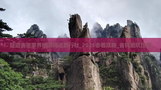 延边去张家界玻璃栈道旅行社