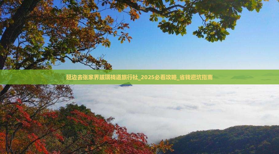 延边去张家界玻璃栈道旅行社
