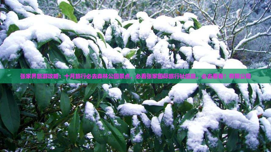 十月去张家界森林公园必去地