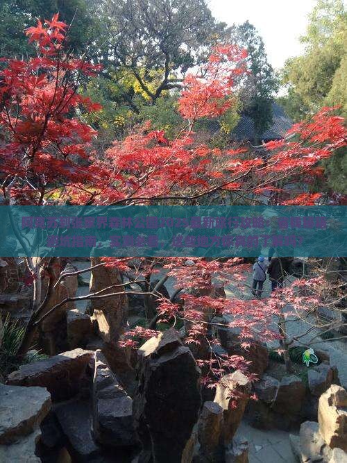 阿克苏到张家界森林公园旅行社