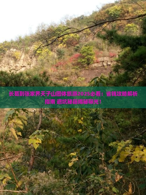 长葛到张家界天子山团体旅游