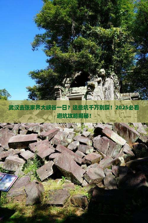 武汉去张家界大峡谷一日