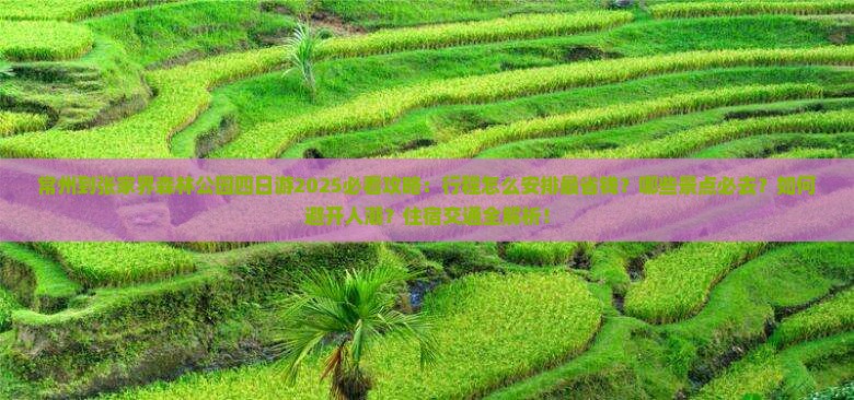 常州到张家界森林公园四日游