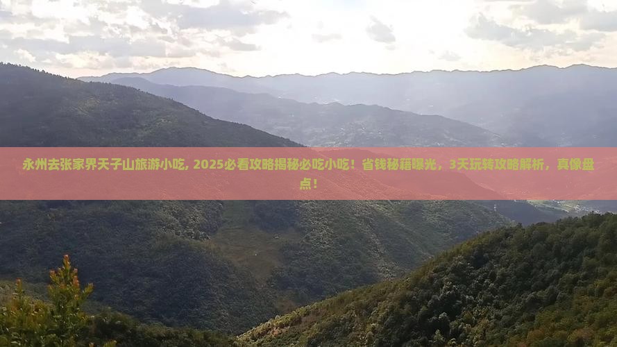 永州去张家界天子山旅游小吃