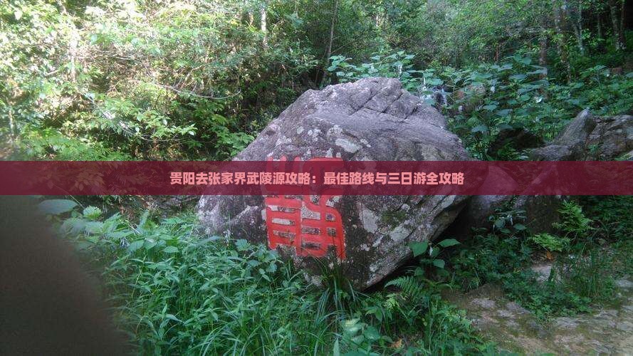 贵阳去张家界武陵源攻略