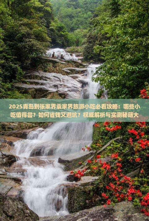 青岛到张家界袁家界旅游小吃 青岛到张家界袁家界旅游小吃