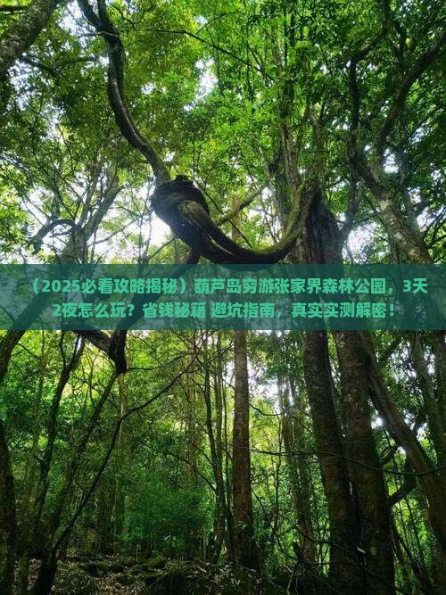 葫芦岛去张家界森林公园个人游