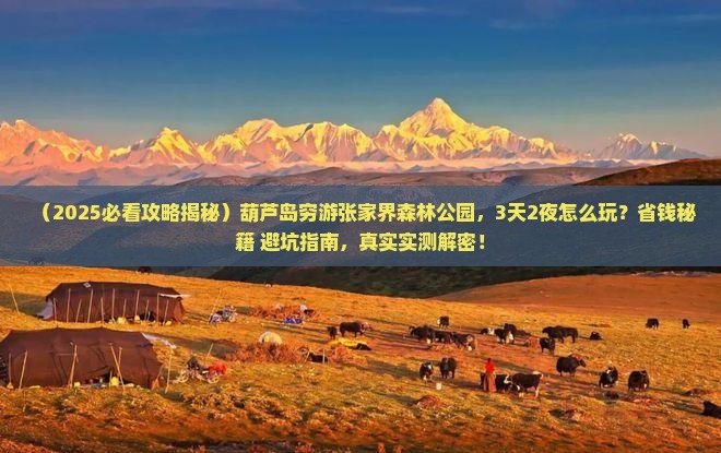 葫芦岛去张家界森林公园个人游