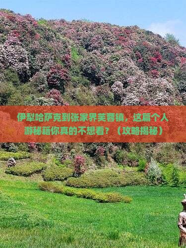 伊犁哈萨克到张家界芙蓉镇个人游