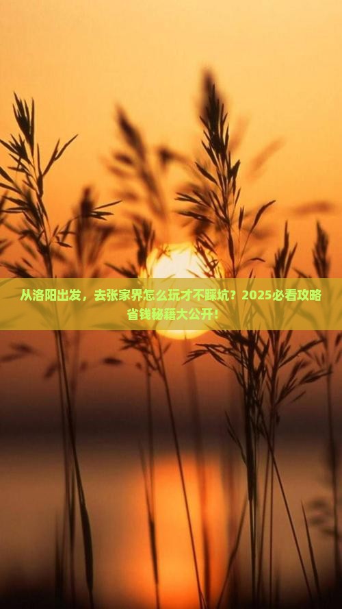 洛阳到张家界旅游
