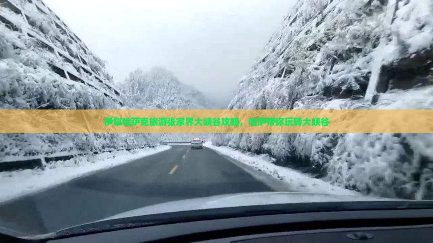 伊犁哈萨克去张家界大峡谷攻略