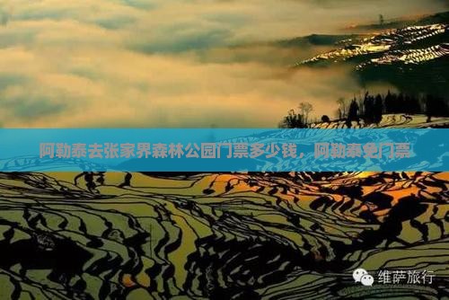 阿勒泰去张家界森林公园门票