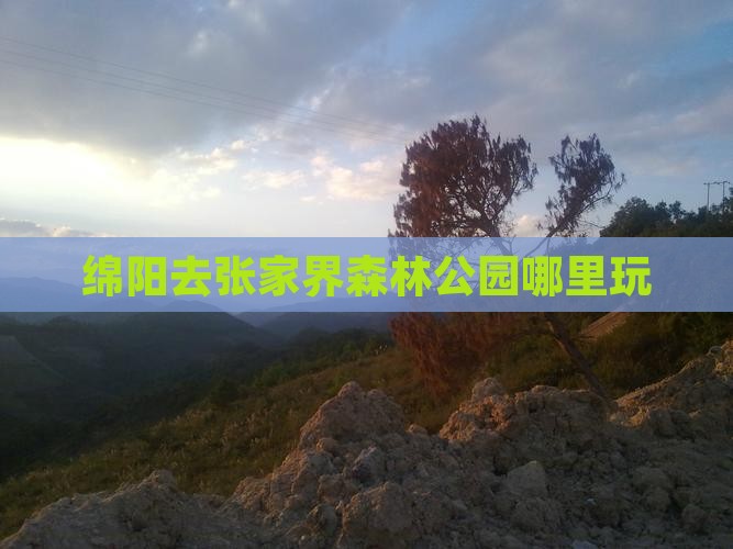 绵阳去张家界森林公园哪里玩