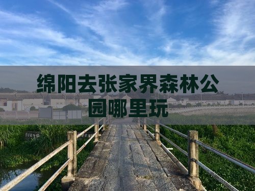 绵阳去张家界森林公园哪里玩
