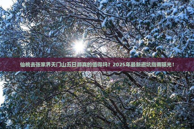仙桃去张家界天门山五日游