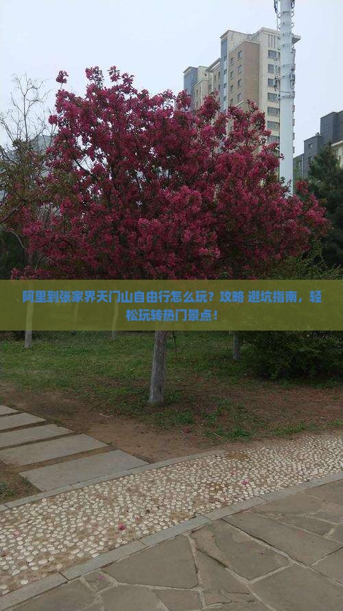 阿里到张家界天门山自由行