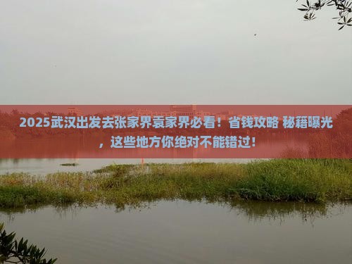 武汉去张家界袁家界哪里玩