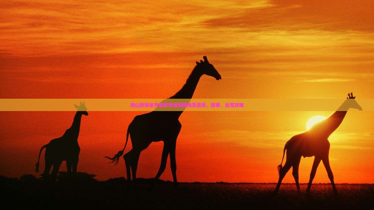 唐山到张家界袁家界旅游