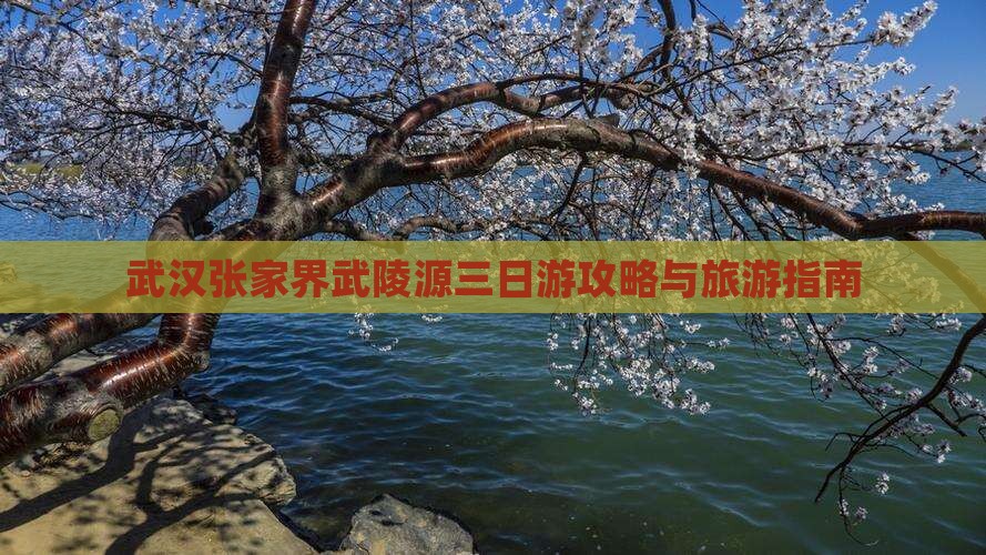 武汉去张家界武陵源三日游