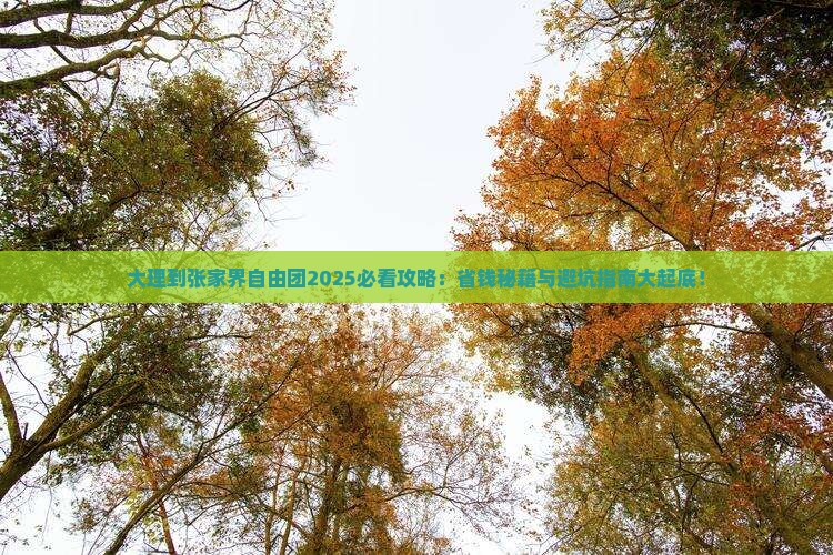 大理到张家界自由团