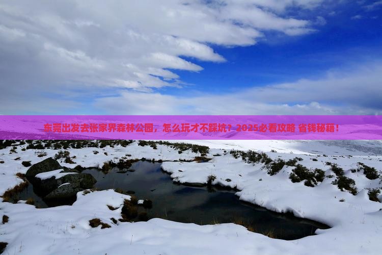 东莞去张家界森林公园旅行社