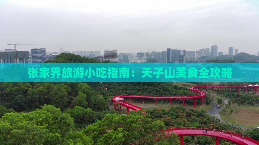 商洛去张家界天子山旅游小吃