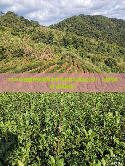 安康到张家界森林公园个人游