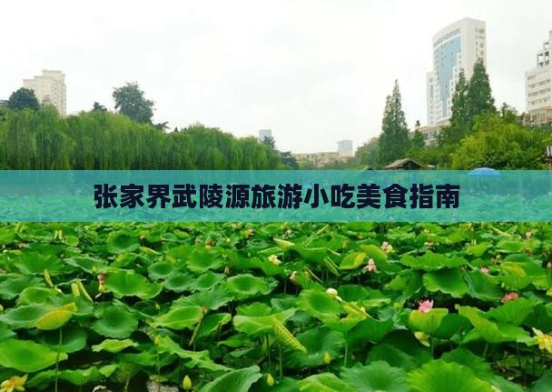 内江去张家界武陵源旅游小吃