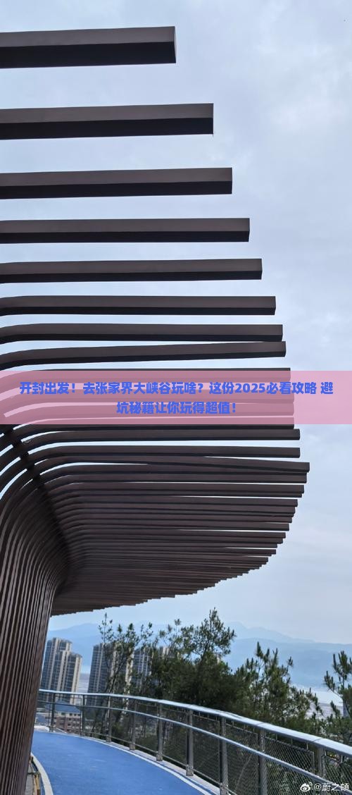 开封去张家界大峡谷团体旅游