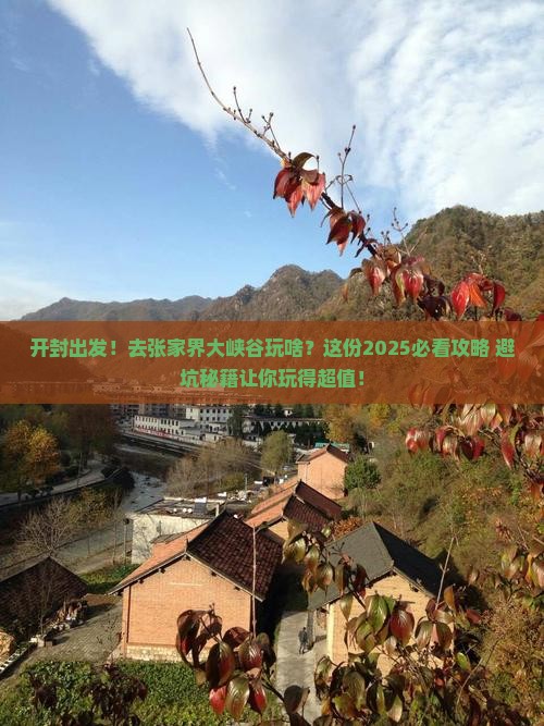 开封去张家界大峡谷团体旅游