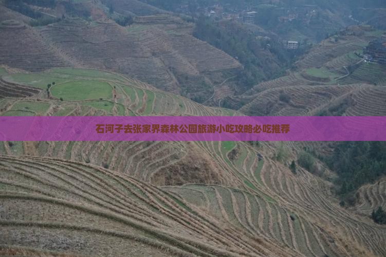 石河子去张家界森林公园旅游小吃