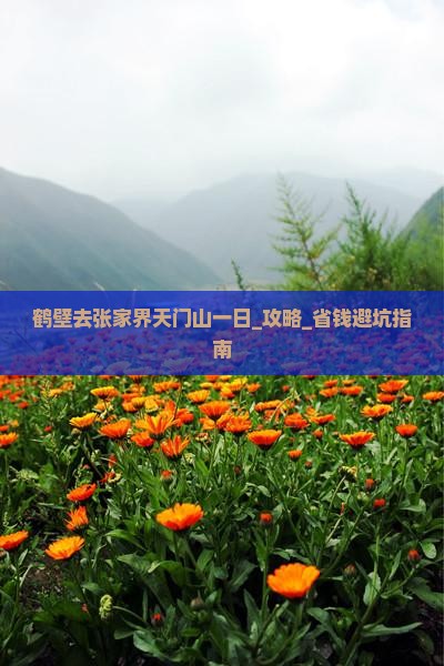 鹤壁去张家界天门山一日