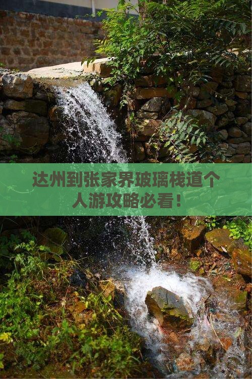 达州到张家界玻璃栈道个人游
