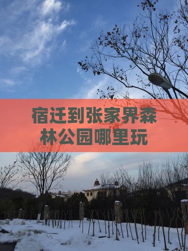 宿迁到张家界森林公园哪里玩