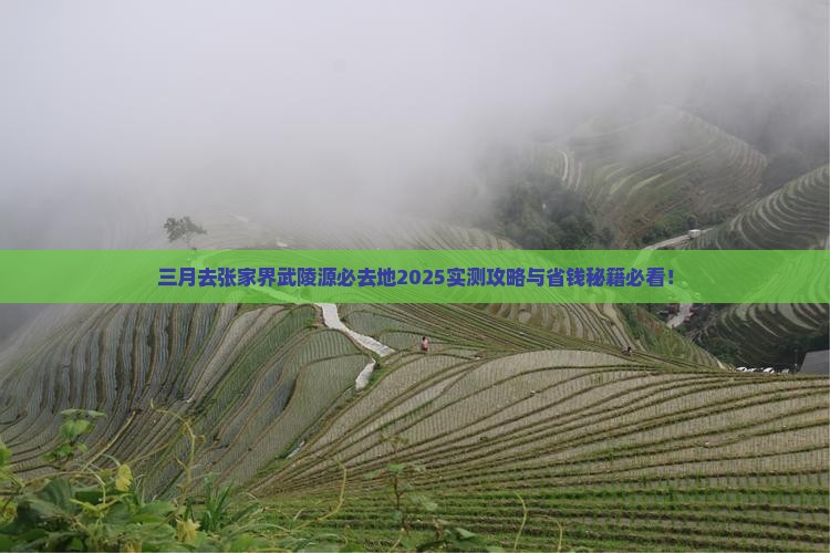 三月去张家界武陵源必去地