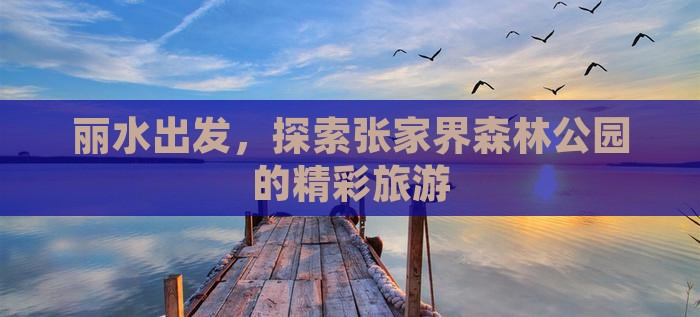 丽水去张家界森林公园团体旅游