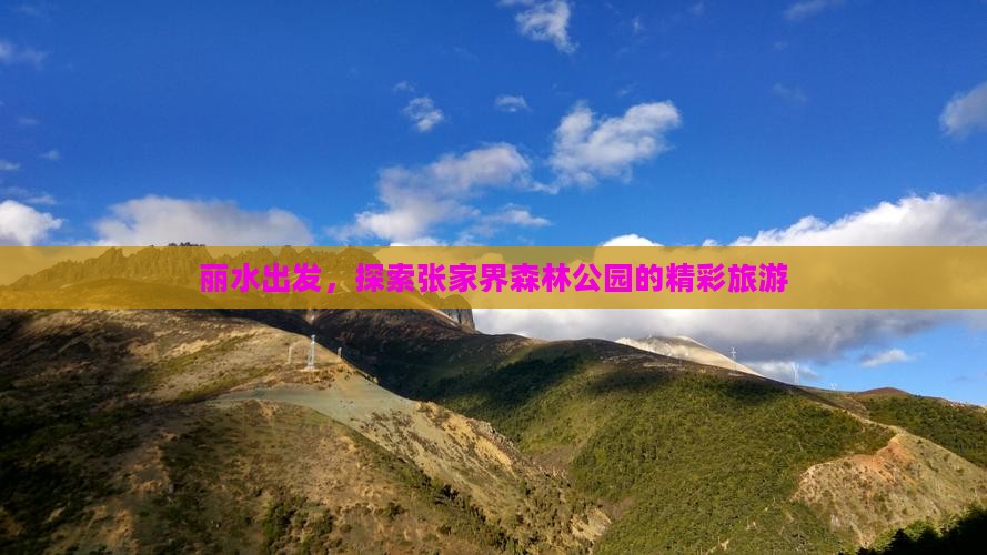 丽水去张家界森林公园团体旅游