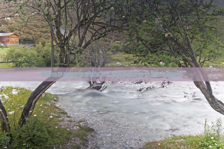 伊犁哈萨克到张家界袁家界大型旅游团