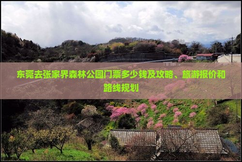 东莞去张家界森林公园门票