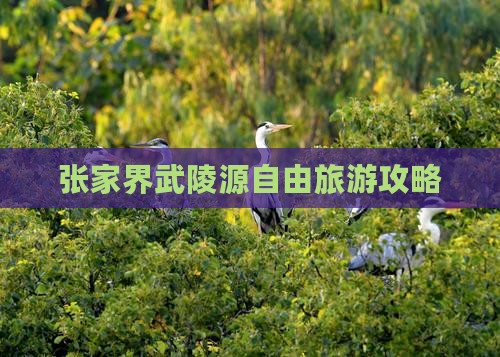 劳动节去张家界武陵源自由团