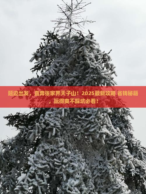 延边到张家界天子山哪里玩