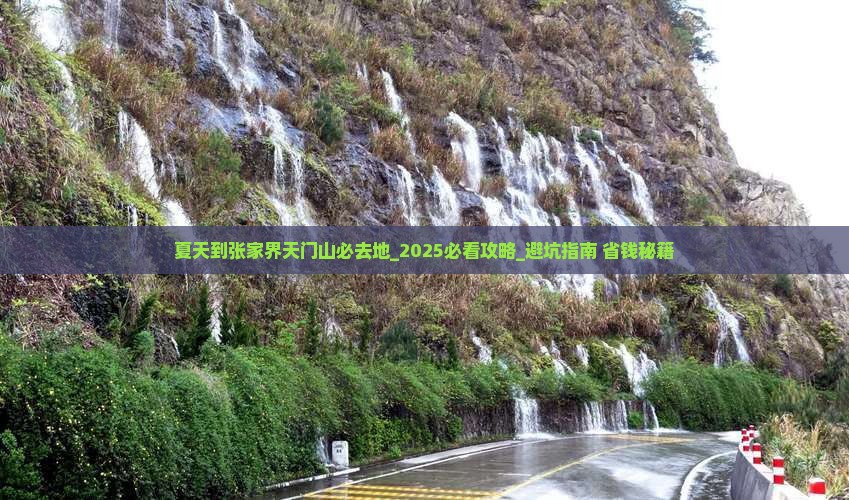 夏天到张家界天门山必去地