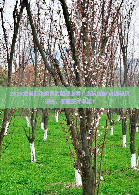 龙岩到张家界武陵源哪里玩