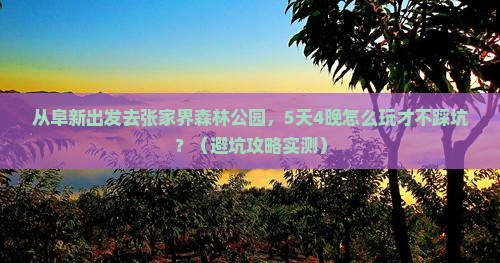 阜新去张家界森林公园大型旅游团